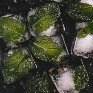 Mint Leaves Inside Ice Cubes